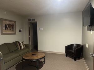 King Parlor Suite Photo 2