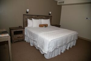 King Parlor Suite Photo 1